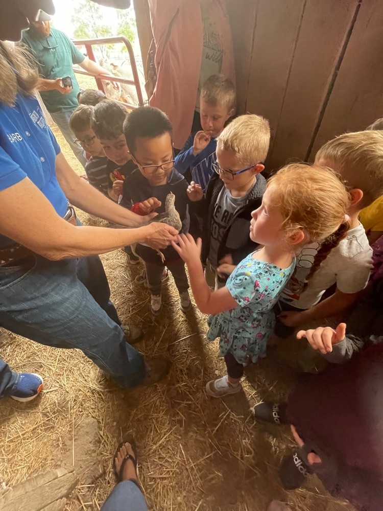 Kindergarten field trip - Marmon Valley Farm